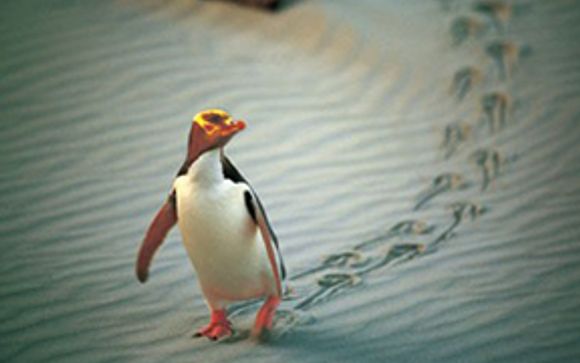 Mettez une option sur l’évasion