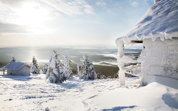 Ihre Reise im Detail