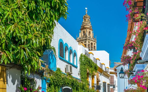 Ihre Ausflugsoptionen