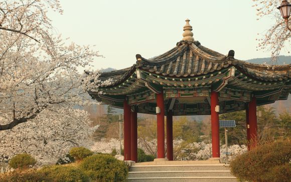 Ihre Rundreise im Detail