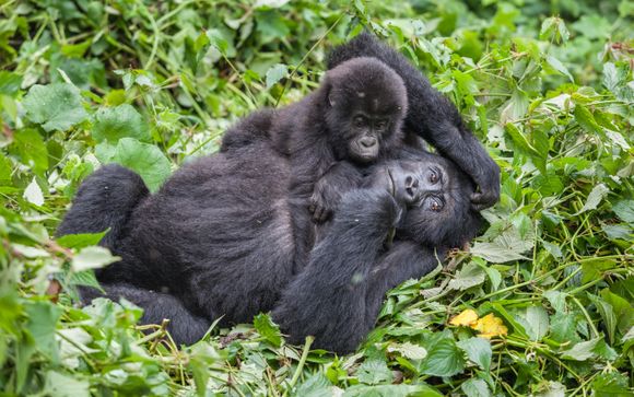 Ihre Rundreise im Detail