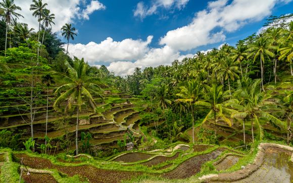 Willkommen in Indonesien