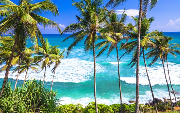 Ihre Reise im Überblick 