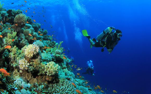 Ihre Ausflugsoptionen