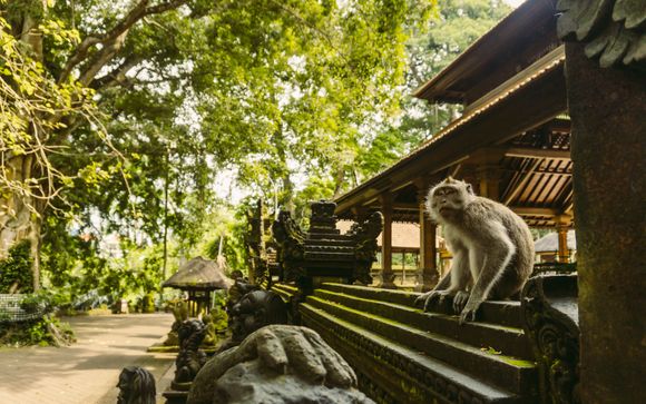 Willkommen in Indonesien