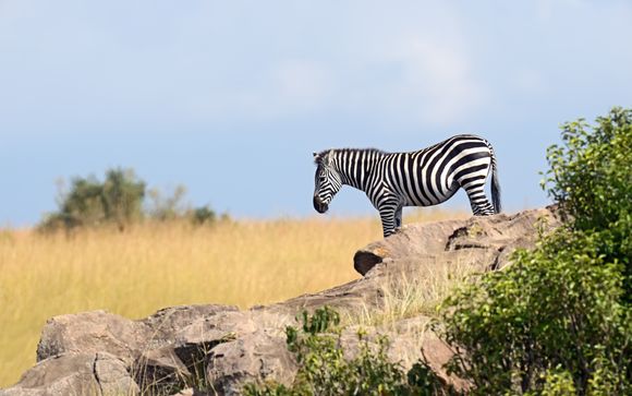 Willkommen in Kenia!