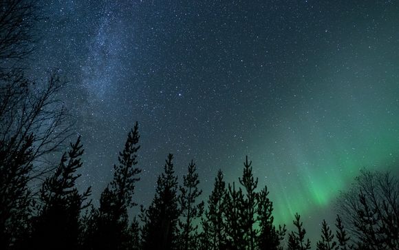 Im Angebot enthalten