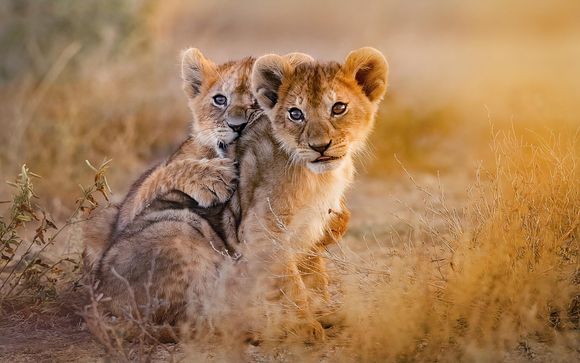 Willkommen in Tansania und auf Sansibar