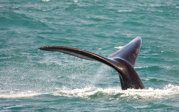 Im Angebot enthalten