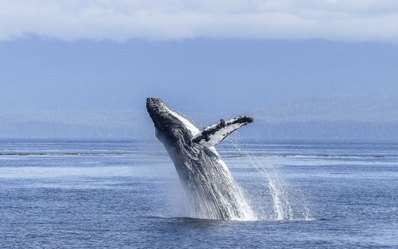 Mettez une option sur l