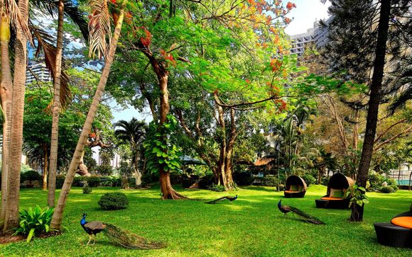 Royal Orchid Sheraton Riverside Hotel Bangkok 5*