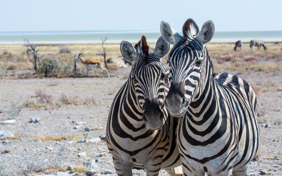 Ihre Rundreise im Detail