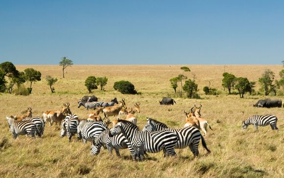 Ihre Safari im Überblick