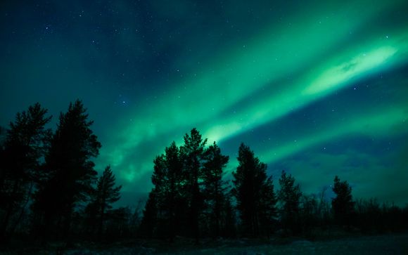 Im Angebot enthalten