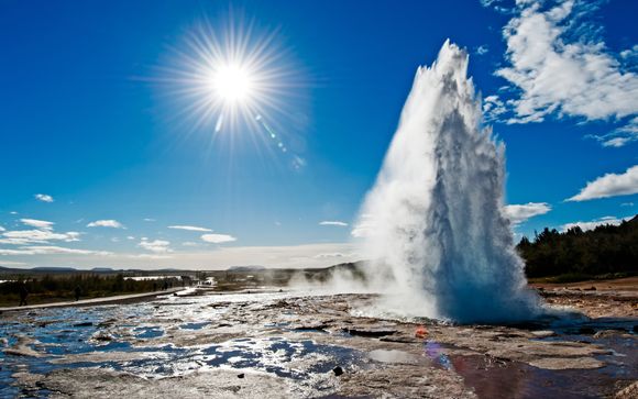 Ihre Reise im Detail