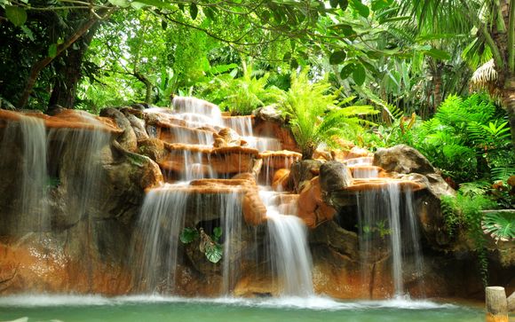 Im Angebot enthalten