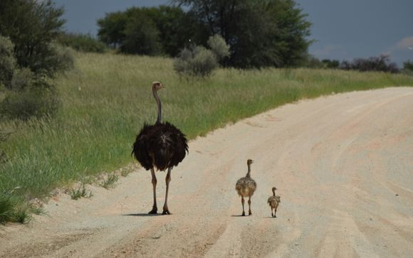 Ihre Autotour im Detail