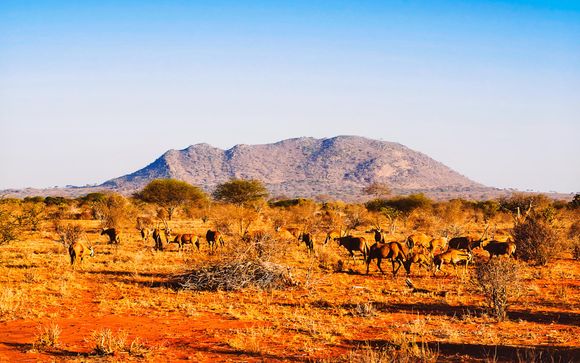 Ihre Reise im Überblick