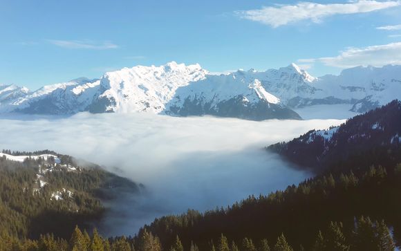 Tout schuss sur les pistes !