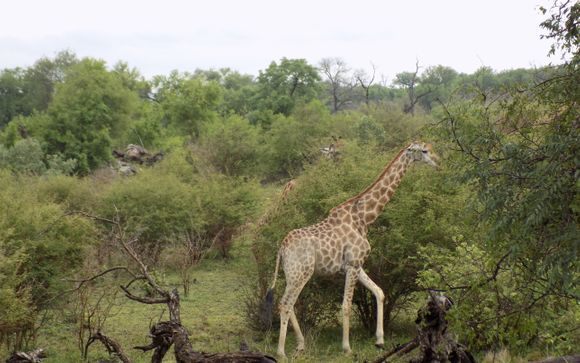Reise in 14 Nächten