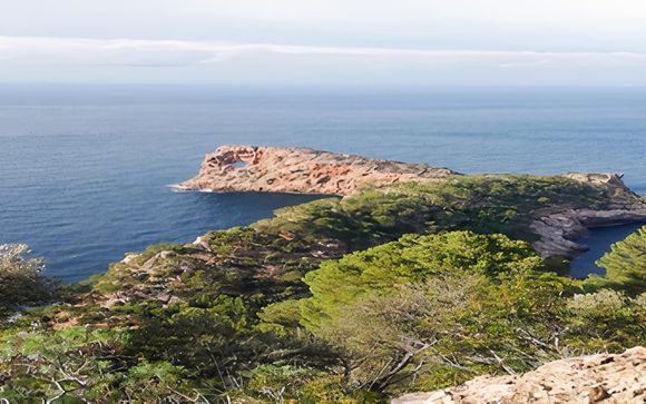 Ihre Ausflugsoptionen