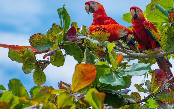 Ihre Rundreise im Detail