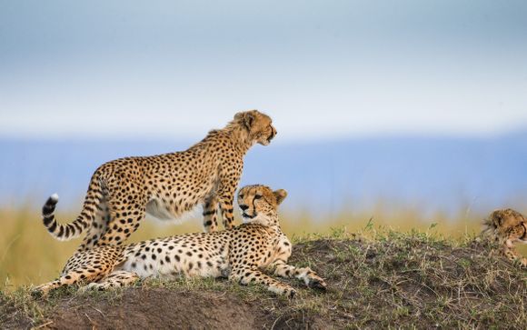 Ihre Safari im Überblick