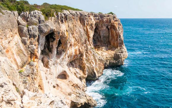 Ihre Ausflugsoptionen