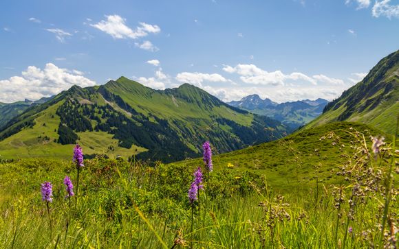 Willkommen in Damüls