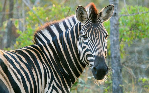 Ihre Rundreise im Detail