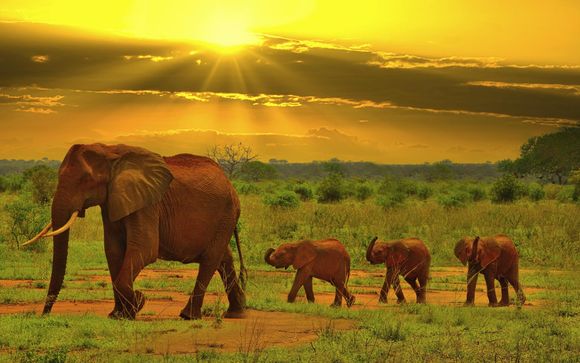 Ihre Rundreise im Detail