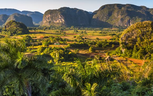 Ihre Ausflugsoptionen