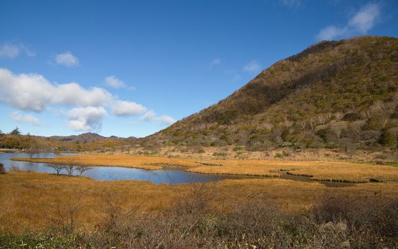 Ihre Reise im Detail