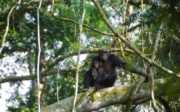 Ihre Reise im Detail