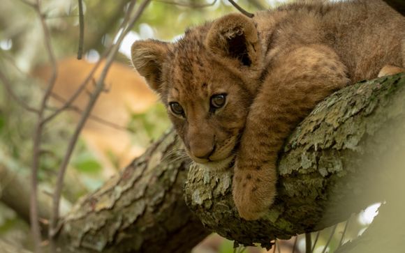 Ihre Reise im Überblick
