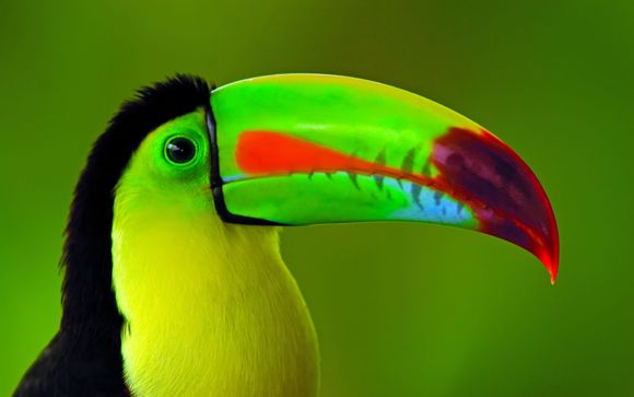 Ihre Rundreise im Überblick