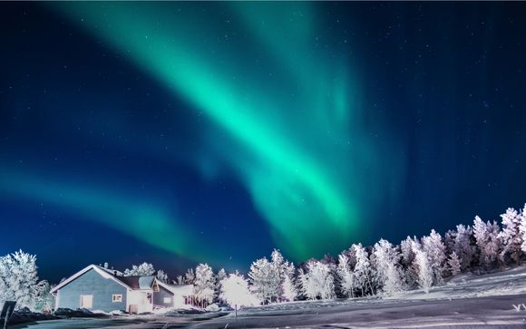 Ihre Reise im Detail