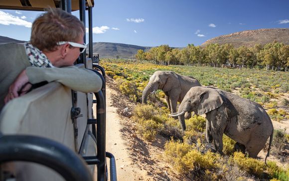 Ihre Reise im Überblick