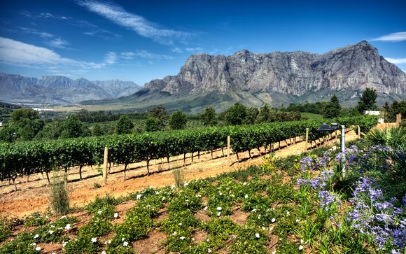 Ihre Reise im Detail