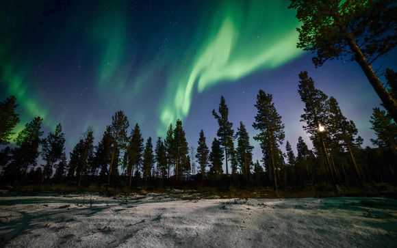 Ihre inbegriffenen Ausflüge
