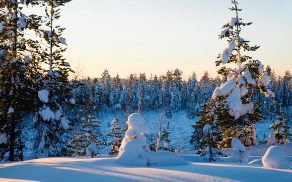 Willkommen in Lappland