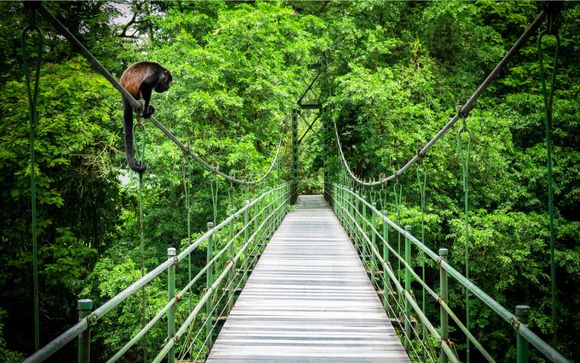 Ihre Ausflugsoptionen