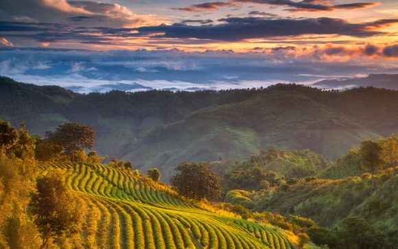 Willkommen in Thailand