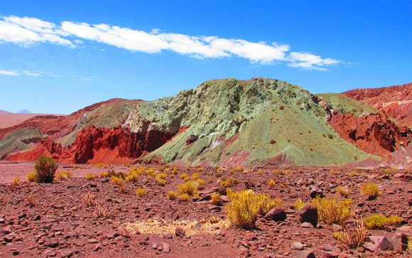 Ihre Ausflugsoptionen