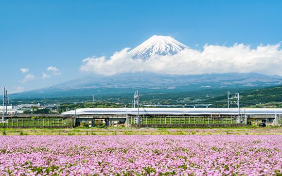 Ihre Rundreise im Detail