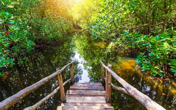 Ihre Ausflugsoptionen