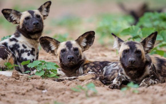 Ihre Autotour im Detail