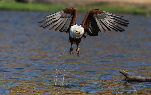 Ihre Rundreise im Detail