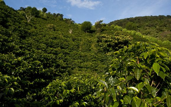 Im Angebot enthalten