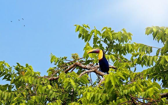Ihre Rundreise im Überblick